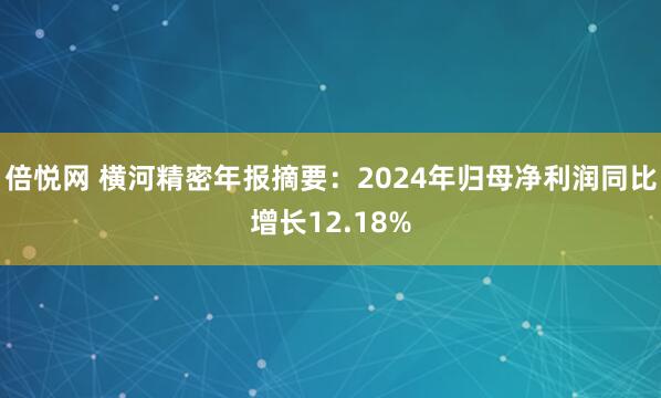 倍悦网 横河精密年报摘要：2024年归母净利润同比增长12.18%