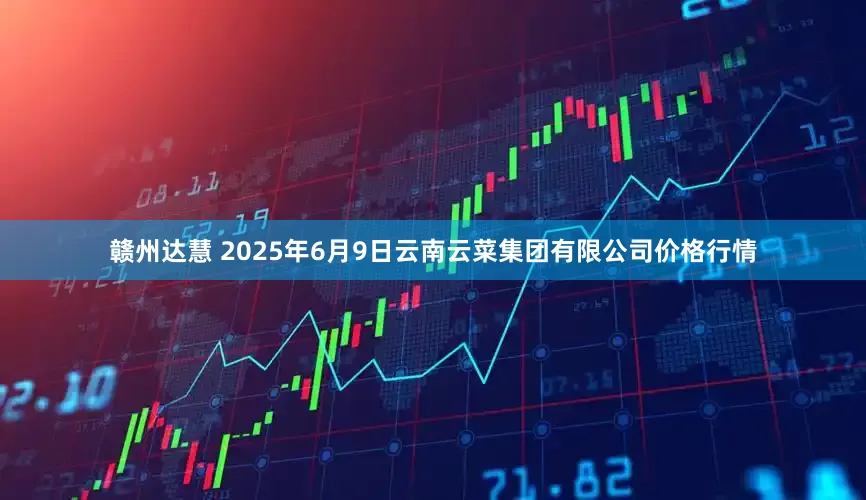 赣州达慧 2025年6月9日云南云菜集团有限公司价格行情