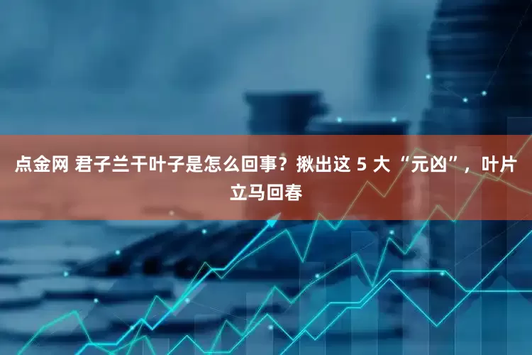 点金网 君子兰干叶子是怎么回事？揪出这 5 大 “元凶”，叶片立马回春